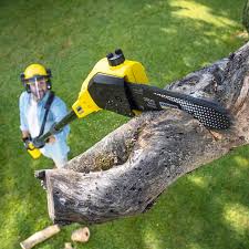 Best Weed Control  in Santa Ynez, CA